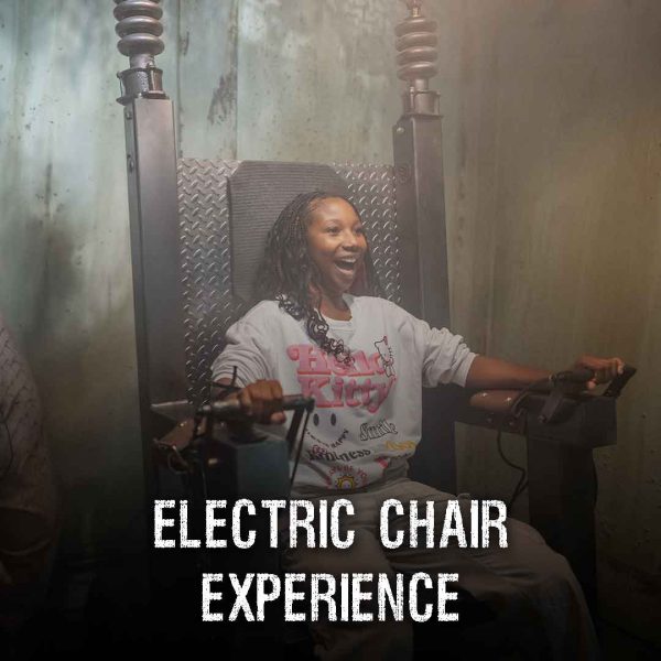 ekectric-chair-ride